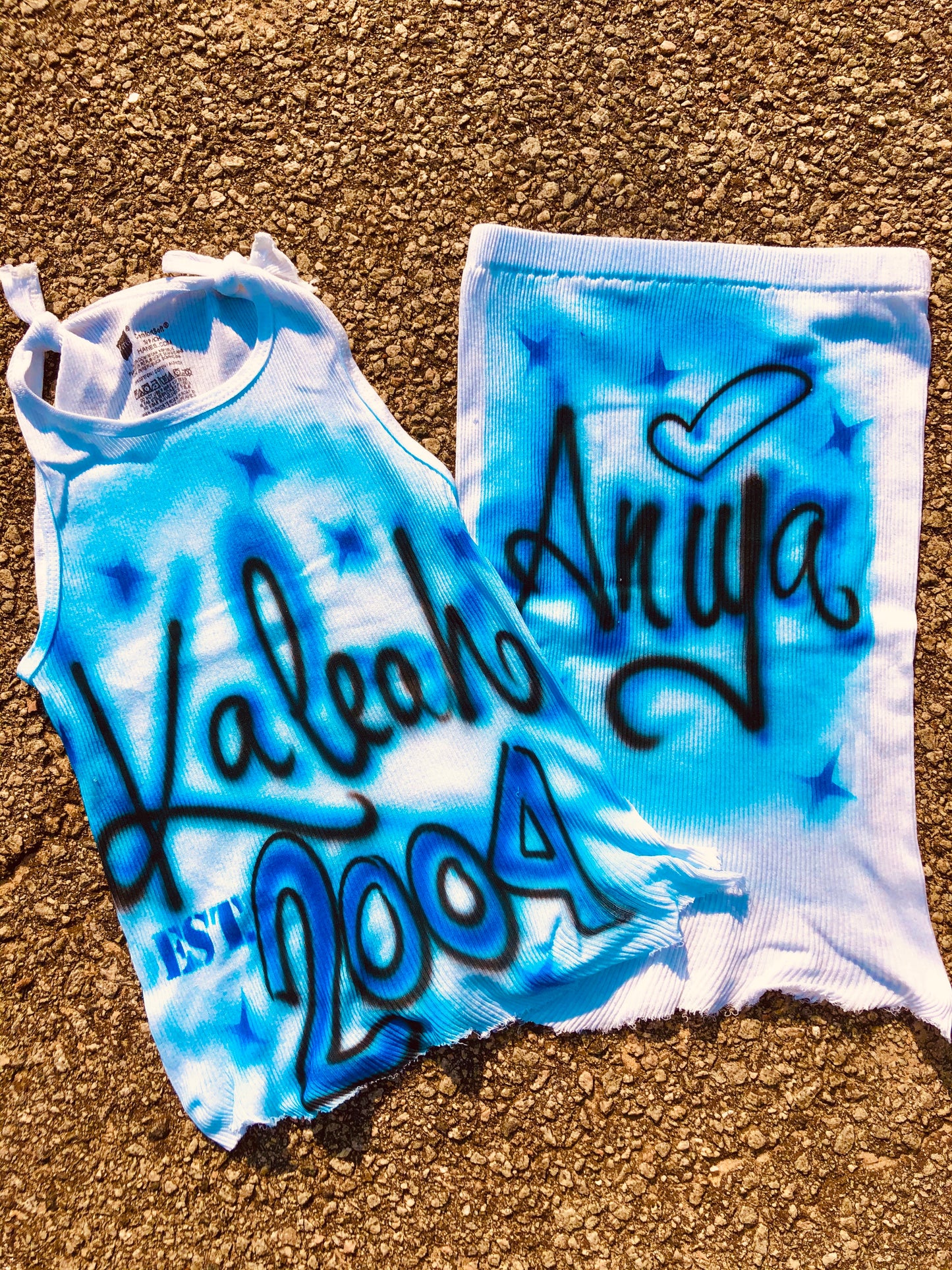AIRBRUSH 2 PIECE TANK SET (SwaggBoy)
